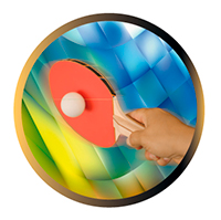 DISCO EPOXY PIN PON