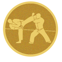 DISCO DORADO AUTOADHESIVA KARATE