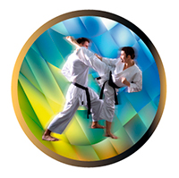 DISCO EPOXY KARATE