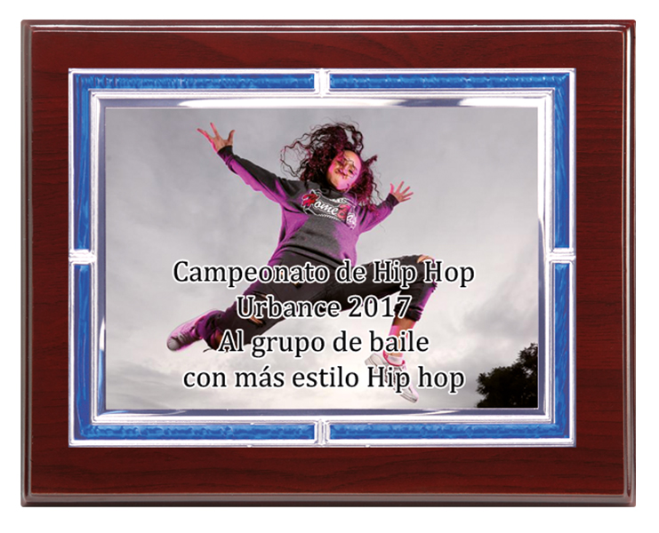 PLACA CONMEMORATIVA