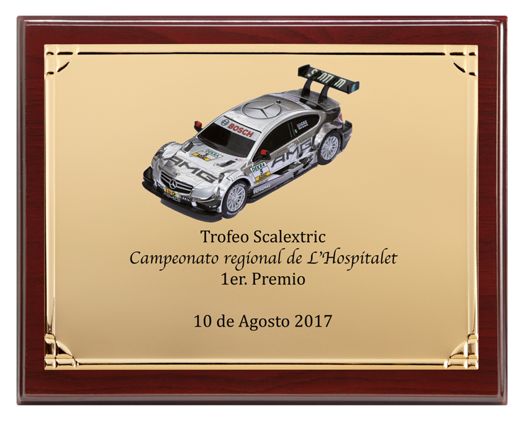 PLACA CONMEMORATIVA