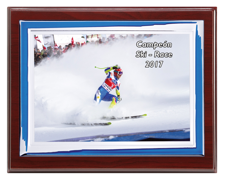 PLACA CONMEMORATIVA