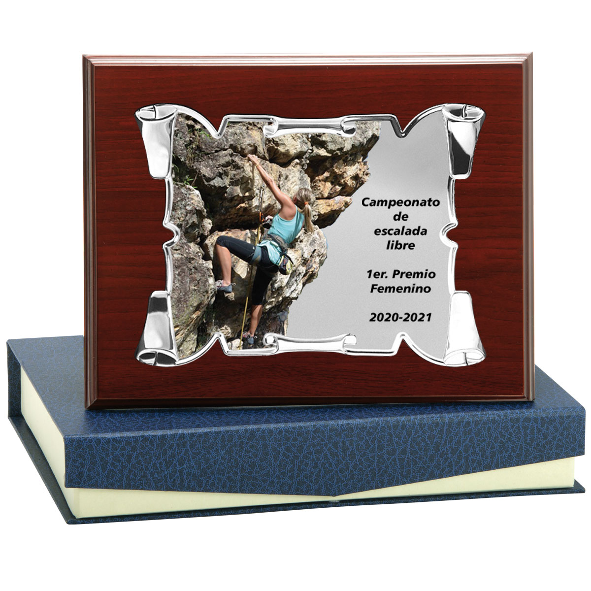 PLACA CONMEMORATIVA