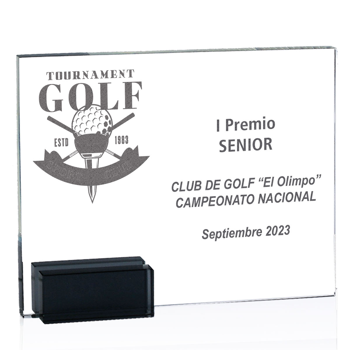 TROFEOS CRISTAL