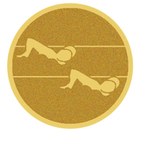DISCO DORADO AUTOADHESIVA NATACION